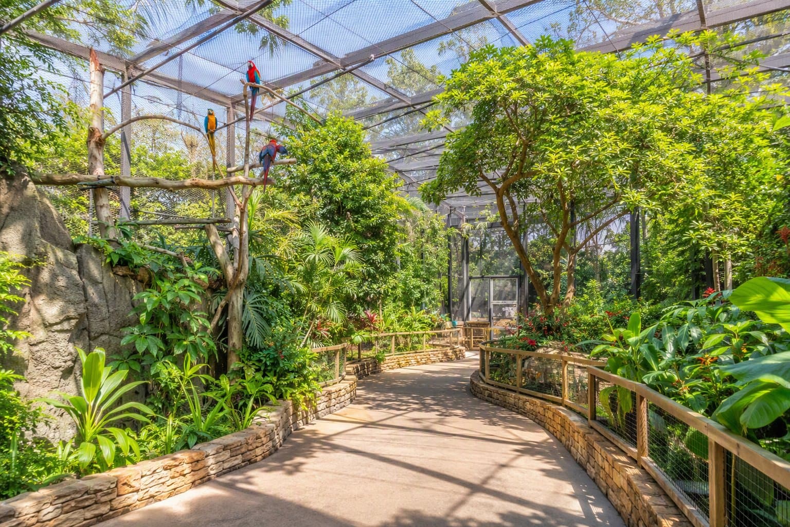 Dallas Zoo Aviary - illustration, Jake Team LLC