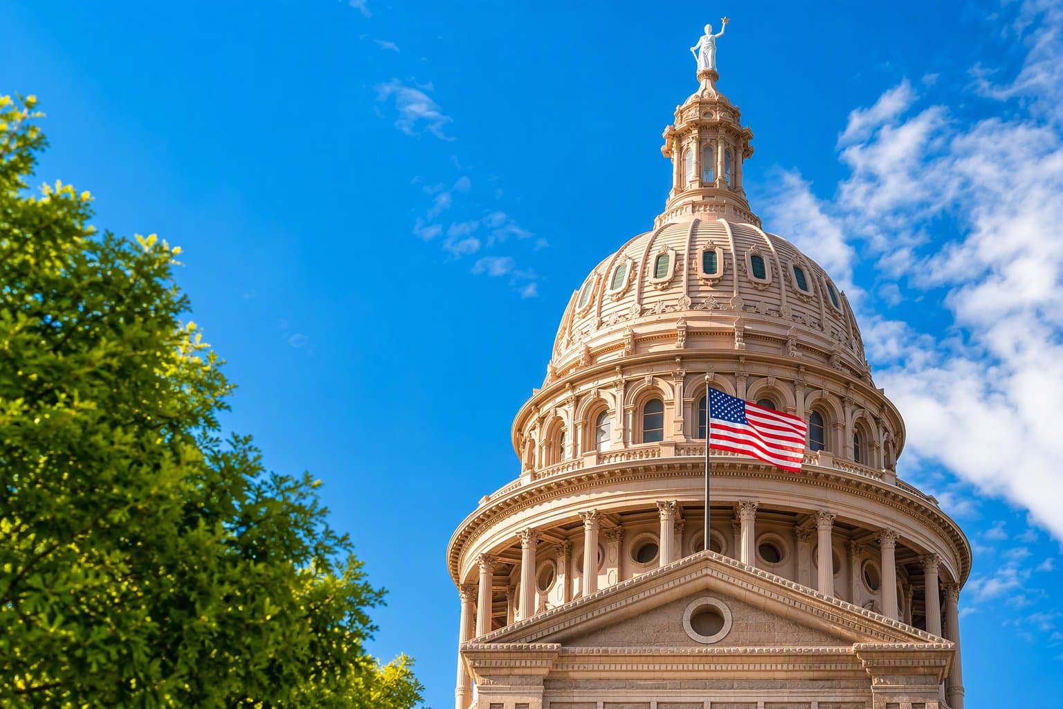 Texas Election Process - illustration, Jake Team LLC