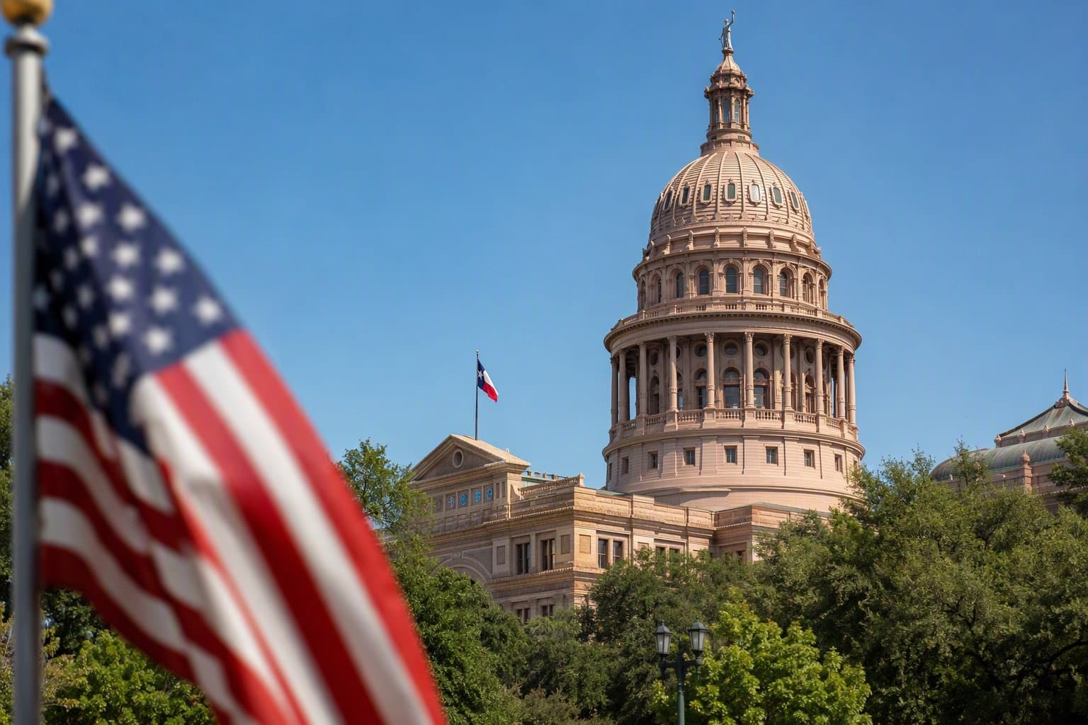 Texas State House Race - illustration, Jake Team LLC