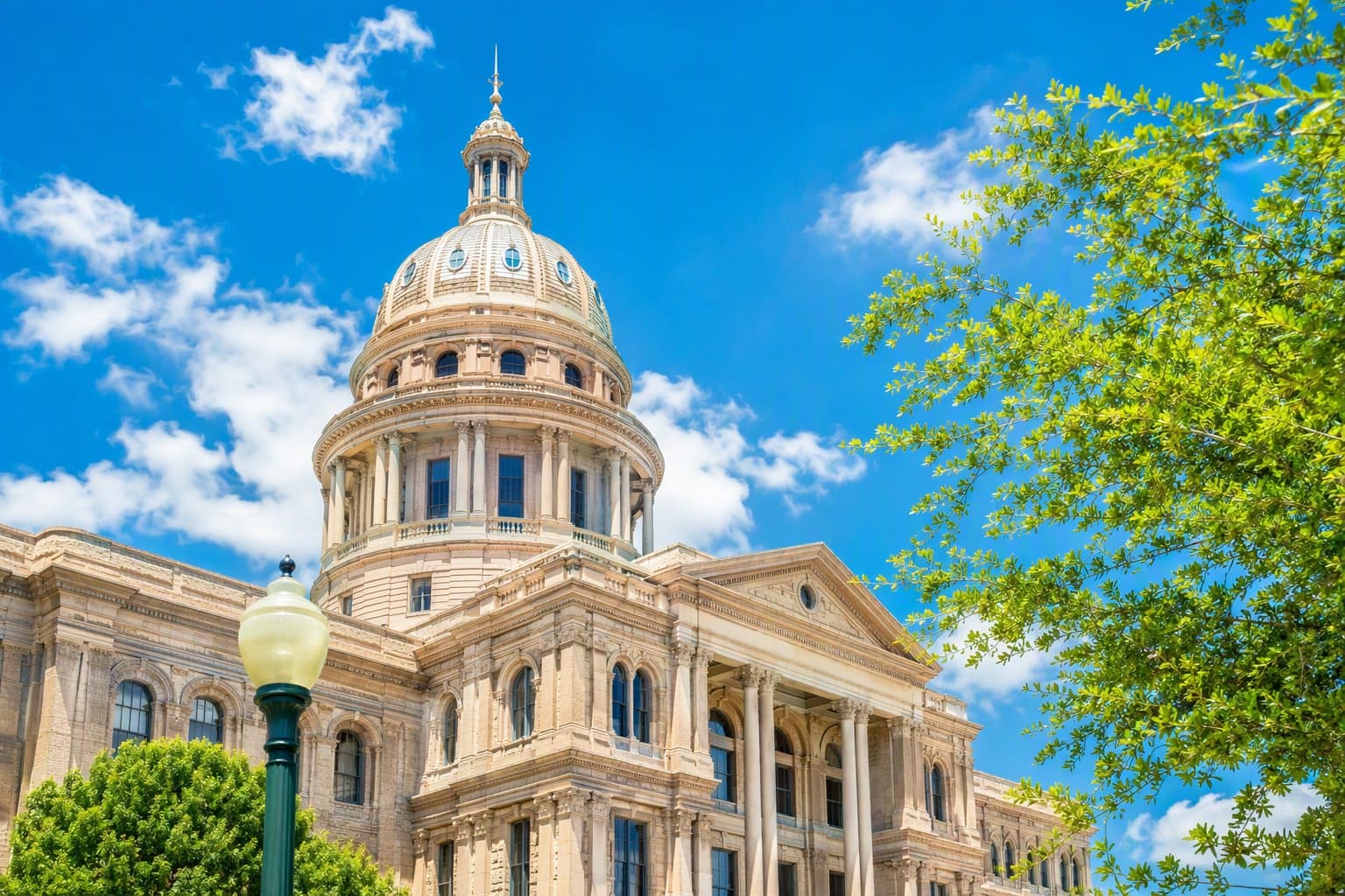 Dallas city hall ballot - illustration, Jake Team LLC